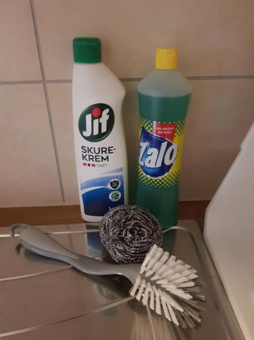 Appartement I Enebolig Pa Valderoya Ved Alesund Ytterland